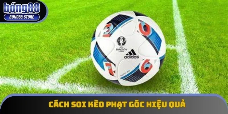 3 lời khuyên hữu ích để nhận định chuẩn chỉ số lượng góc của trận đấu